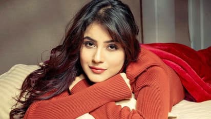 Salaman khan: ಪಂಜಾಬ್‌ನ ಕತ್ರೀನಾ ಕೈಫ್, ಸಿದ್ಧಾರ್ಥ್ ಶುಕ್ಲನ ಗರ್ಲ್‌ಫ್ರೆಂಡ್‌ನ ಹೊಗಳಿದ ಸಲ್ಲು