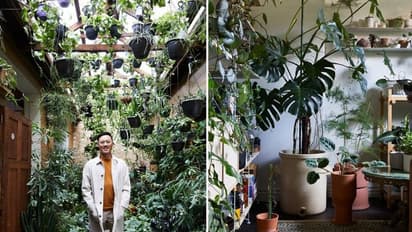 വീട്ടിനകത്ത് ചെറിയൊരു കാടായാലോ; കാണാം അതിമനോഹരമായൊരു വീട്...