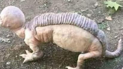 পুরুলিয়ার জঙ্গলে 'মানুষরূপী জন্তু', ভাইরাল ছবিকে ঘিরে তোলপাড় নেটদুনিয়ায়