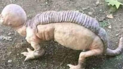 West Bengal: Viral image of 'humanoid animal' spotted in Purulia jungle creates panic