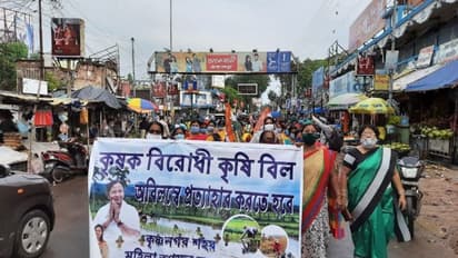 কৃষি বিলের প্রতিবাদ, নদিয়ায় পথে নেমে কেন্দ্রের বিরোধিতায় তৃণমূল