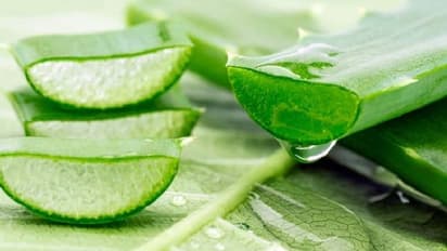 Aloe Vera For Skin :  മുഖത്തെ കറുത്തപാടുകൾ മാറാൻ കറ്റാർവാഴ ഇങ്ങനെ ഉപയോ​ഗിക്കൂ