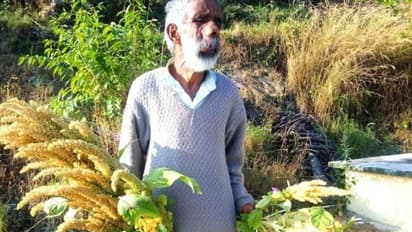 ഒരു വിളയല്ല, പലതരത്തിലുള്ള വിളകള്; ഇത് വേറിട്ട കൃഷിരീതി, കര്ഷകരെ വ്യത്യസ്തമായ കൃഷിപാഠം പഠിപ്പിക്കാന് വിജയ്