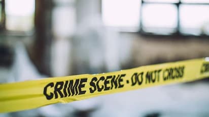 अपराध को रोकने का अनोखा फार्मूला: घुसपैठिए, अपराधियों को गोली मारिए और टैक्स में पाइए छूट