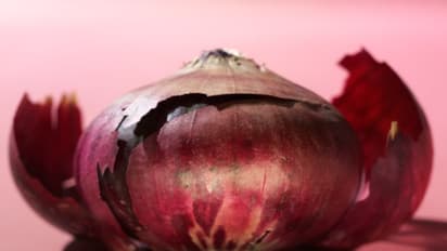 120 ರೂಪಾಯಿ ದಾಟಿದ ಈರುಳ್ಳಿ; ಬೆಲೆ ಏರಿಕೆಗೆ ಇದೆ 4 ಕಾರಣ!