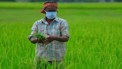 ಮೊದಲು ನಡೆದು ತಿನ್ನುತ್ತಿದರು, ಈಗ ತಿಂದು ನಡೆಯುತ್ತಾರೆ