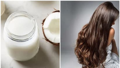 മുടി സമൃദ്ധമായി വളരാന് തേങ്ങാപ്പാൽ ഈ രീതിയിൽ ഉപയോഗിച്ച് നോക്കൂ