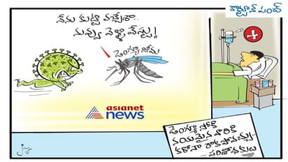 డెంగ్యూ వస్తే కరోనా రాదంట..!!!