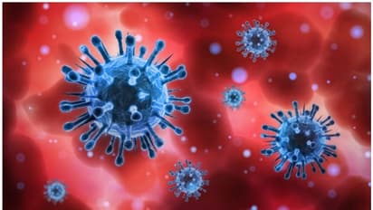 കൊറോണ വൈറസിന് വീണ്ടും ജനിതക വ്യതിയാനങ്ങള് സംഭവിച്ചതായി പഠനം