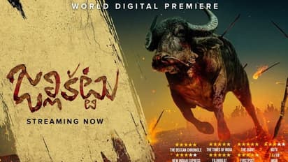 ಆಸ್ಕರ್ಗೆ ಮಲೆಯಾಳಂನ ಜಲ್ಲಿಕಟ್ಟು ಆಯ್ಕೆ... ರೇಸ್ನಲ್ಲಿ ಗೆದ್ದಿದ್ದು ಹೇಗೆ?