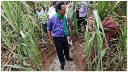 கரும்பு காட்டுக்குள் கான்கிரீட் போட்டு நடந்த தலைசிறந்த விவசாயி மு.க.ஸ்டாலின்.. குத்திக் கிழிக்கும் குத்தீட்டி