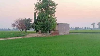 कांट्रेक्ट फार्मिग से किसान बदल रहे हैं किस्मत, लिख रहे हैं नई इबादत