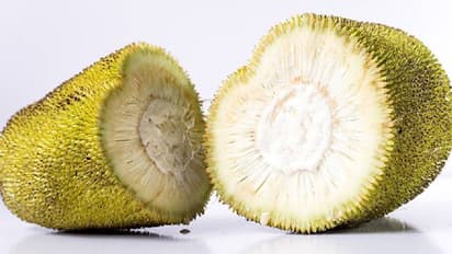 You would be surprised to note that jackfruit can play a major role in treating diabetes