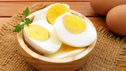 പ്രതിരോധശേഷി കൂട്ടാന്‍ സിങ്ക് അടങ്ങിയ ഈ ഭക്ഷണങ്ങൾ കഴിക്കാം...