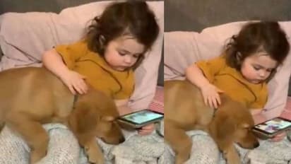 പട്ടിക്കുട്ടിക്കൊപ്പം വീഡിയോ കാണുന്ന കുട്ടി; മനോഹരമായ കാഴ്ചയെന്ന് സോഷ്യല്‍ മീഡിയ