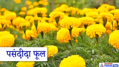 भगवान विष्णु की पूजा में कौन-से फूल चढ़ाना चाहिए और कौन-से नहीं? इन बातों का भी रखें खास ध्यान