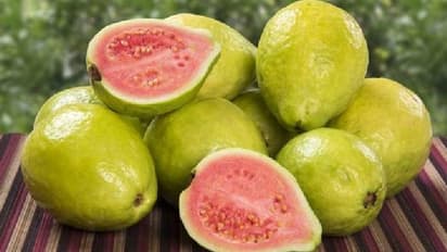 Here’s why we should eat guavas often!