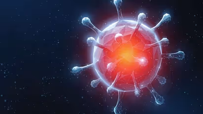 Coronavirus: India’s COVID-19 tally crosses 61-lakh mark, recovery rate rises to 83.01%