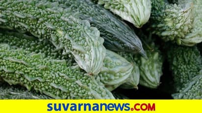 ಕರುಳ ಕ್ಲೀನ್ ಮಾಡೋ ಮನೆ ಮದ್ದು ಹಾಗಲಕಾಯಿ!