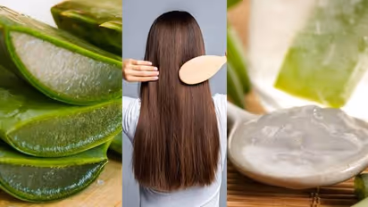Hair loss :  മുടികൊഴിച്ചിൽ അലട്ടുന്നുണ്ടോ? ഇവ ഉപയോ​ഗിച്ച് നോക്കൂ