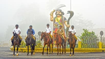 Mysuru Dasara: Police train horses for Jamboo Savari, put them on special diet