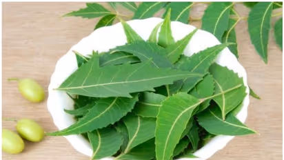 ആര്യവേപ്പിന്റെ ഈ ഗുണങ്ങൾ അറിയാതെ പോകരുത്