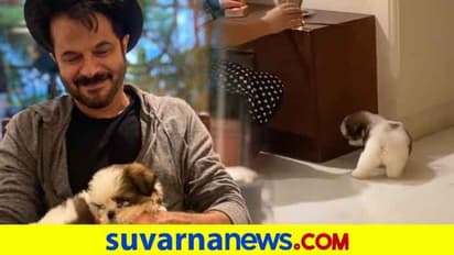 ಕುಟುಂಬಕ್ಕೆ ಪುಟ್ಟ ಅಥಿತಿ ಬರ ಮಾಡಿಕೊಂಡ ಅನಿಲ್ ಕಪೂರ್!