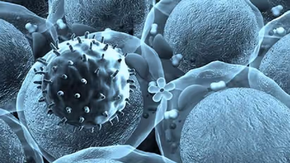 ഭീഷണിയായി ചൈനയില്‍ നിന്നും അടുത്ത വൈറസ്; മുന്നറിയിപ്പുമായി ഐസിഎംആര്‍