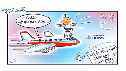 ఆకాశంలో విమానాన్ని ఢీకొట్టిన పక్షి... తప్పిన పెను ప్రమాదం