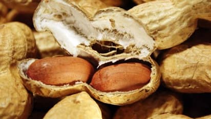 এই ৪ সমস্যা থাকলে এড়িয়ে চলুন বাদাম খাওয়া, নাহলে দেখা দিতে পারে মারাত্মক সমস্যা