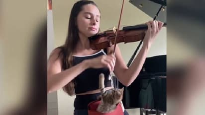 വയലിനിൽ വിസ്മയം തീർക്കുന്ന യുവതി; ആസ്വദിക്കുന്ന പൂച്ച; മനോഹരം ഈ വീഡിയോ