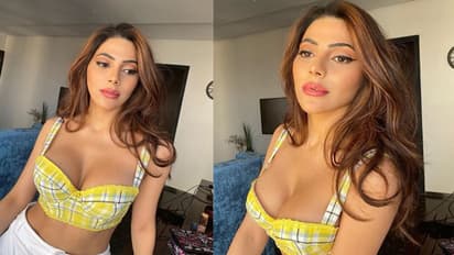 Bigg Boss 14: Nikki Tamboli turns dark horse, Rahul Vaidya-Pavitra Punya cross swords on house duties