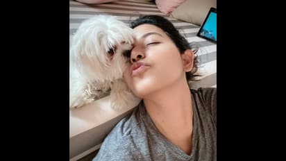 அஞ்சலி என்ன காஞ்ச எலி மாதிரி ஆகிடுச்சு..! லேட்டஸ்ட் போட்டோவை பார்த்து பங்கமாக கலாய்க்கும் நெட்டிசன்கள்..!