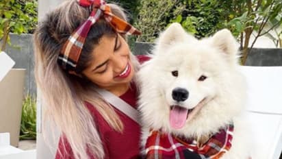 നിരാശനായ വളര്ത്തുപട്ടിയെ സന്തോഷിപ്പിക്കാന് ഉടമസ്ഥര് ചെയ്തത്; രസകരമായ വീഡിയോ...