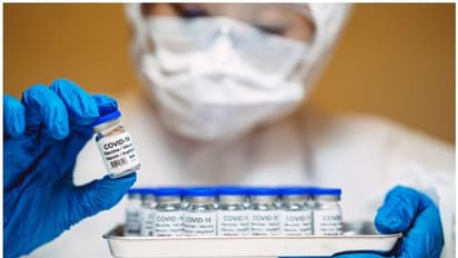 കൊവിഡില്‍ നിന്ന് മനുഷ്യന് കവചമൊരുക്കാന്‍ ജീവന്‍ നഷ്ടമാവുക 5 ലക്ഷത്തോളം സ്രാവുകള്‍ക്കെന്ന് റിപ്പോര്‍ട്ട്