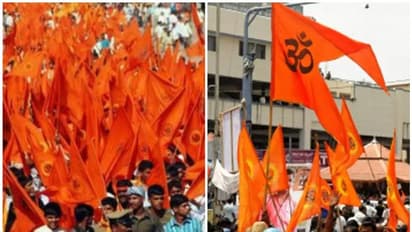 VHP seeks anti-conversion law, wants temples freed from government control