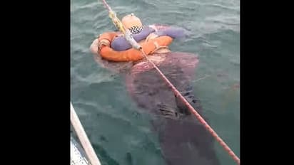 ২ বছর নিখোঁজ থাকার পর সমুদ্র থেকে উদ্ধার মহিলা, চোখ রাখুন সেই ভাইরাল ভিডিওতে