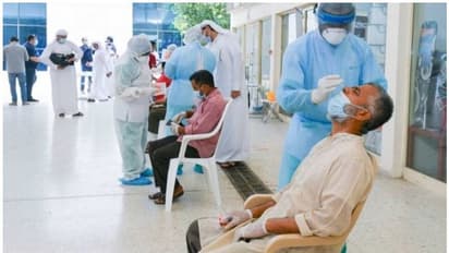 അബുദാബി സ്കൂള് അധ്യാപകര്ക്കും ജീവനക്കാര്ക്കും രണ്ടാഴ്ച കൂടുമ്പോള് കൊവിഡ് പരിശോധന