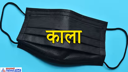 ज्योतिष: कौन-सा है आपका फेवरेट कलर? इससे भी जान सकते हैं किसी के नेचर से जुड़ी खास बातें