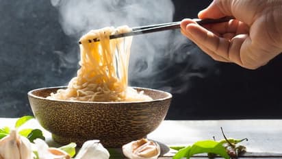 ചീഫ് ന്യൂഡില്സ് ഓഫീസറാകാം; പ്രതിഫലം കേട്ട് ബോധം പോകരുത്.!