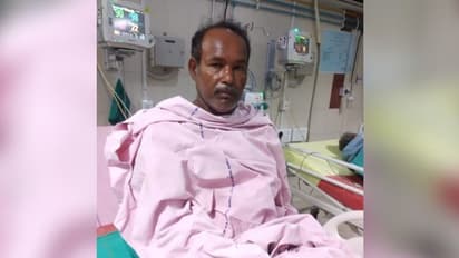 চন্দ্রবোড়ার কামড় খেয়ে তারকেশ্বর থেকে ক্যানিংয়ে পাড়ি, মৃত্যুর মুখ থেকে ফিরলেন কৃষক