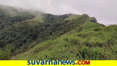 9 ಜಿಲ್ಲೆ ರೈತರಿಗೆ ಬೀಜಗಳ ವಿತರಣೆ : ಅರಣ್ಯ ಅಭಿವೃದ್ಧಿಗೆ ಹೆಚ್ಚು ಒತ್ತು