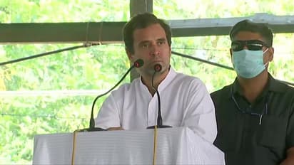 राहुल गांधी का बड़ा ऐलान, कहा-'जिस दिन सत्ता में आए, उस दिन कूड़ेदान में फेंक देंगे तीनों कृषि बिल'