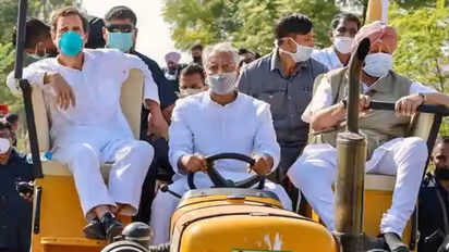 'ಕಾಂಗ್ರೆಸ್‌ ಗೆದ್ದರೆ ಕೃಷಿ ಕಾಯ್ದೆ ರದ್ದು, ಕಸದ ಬುಟ್ಟಿ​ಗೆ ಎಸೆ​ಯು​ವೆ'