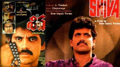 నాగార్జున సంచలనం.. `శివ` అరుదైన మైలురాయి