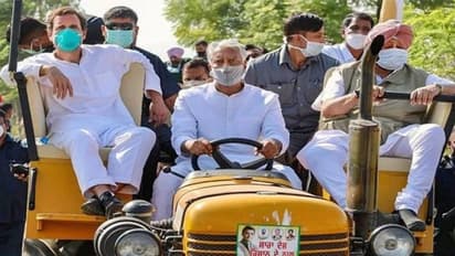 সোফায় বসে প্রতিবাদ হয় না, রাহুলকে কটাক্ষ করে সোশ্যাল মিডিয়ায় বার্তা কেন্দ্রীয় মন্ত্রীর