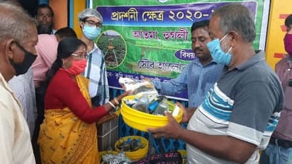 West Bengal: State government introduces 'Solar Light Trap' for farmers to save crops from locust attacks