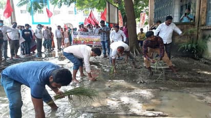 বন্য়ার জলে নষ্ট জমির ফসল, ক্ষতিপূরণের দাবিতে কৃষি দপ্তরের সামনে ধান রোপণ