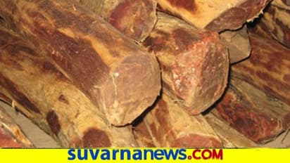 ಶ್ರೀಗಂಧ ಬೆಳೆಯುವವರಿಗೆ ಬಂಪರ್ ಲಾಭ : ಸರ್ಕಾರದಿಂದಲೂ ಸಪೋರ್ಟ್