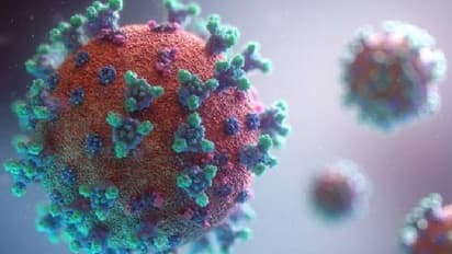 കൊറോണ വൈറസിന് മനുഷ്യചര്മ്മത്തില് 9 മണിക്കൂറോളം നിലനില്ക്കാനുള്ള കഴിവുണ്ടെന്ന് പഠനം